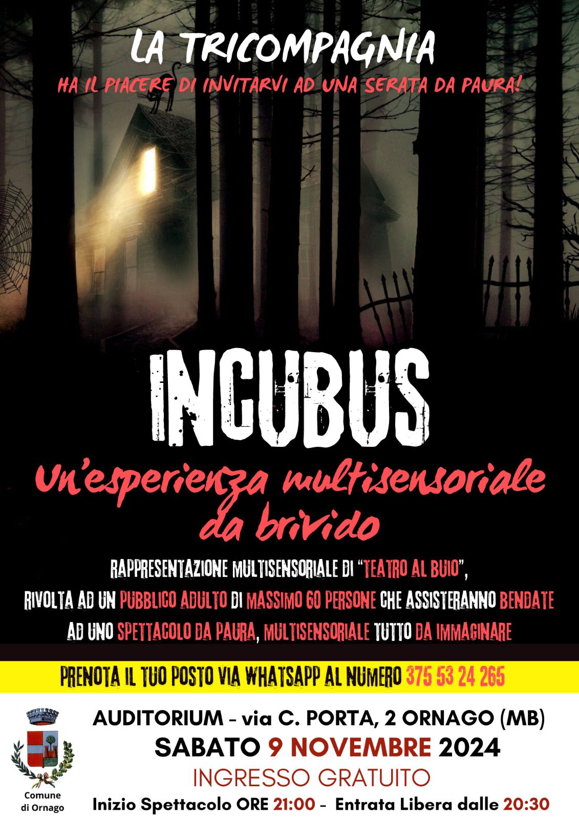 Fuori Rassegna teatrale "TeatrOrnago": Incubus