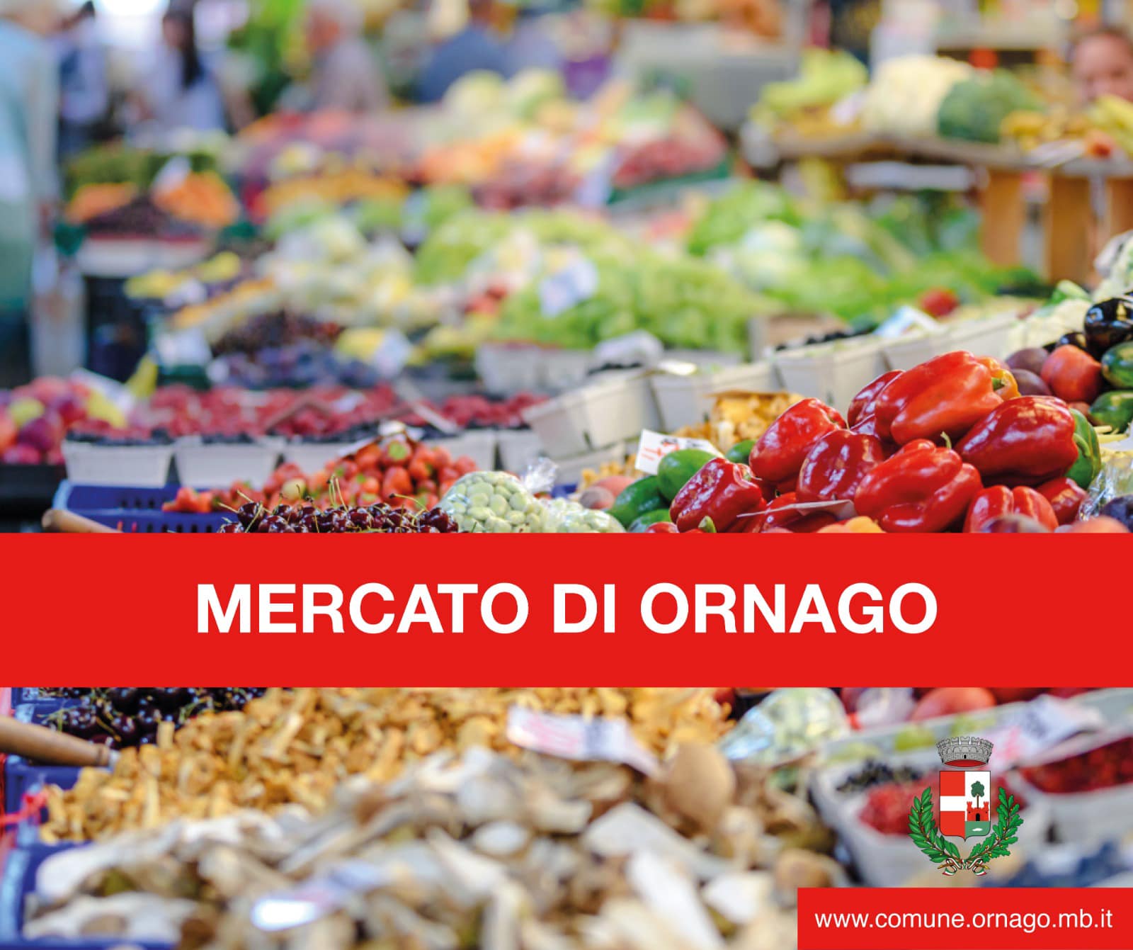 15 agosto 2024 - Stop del mercato