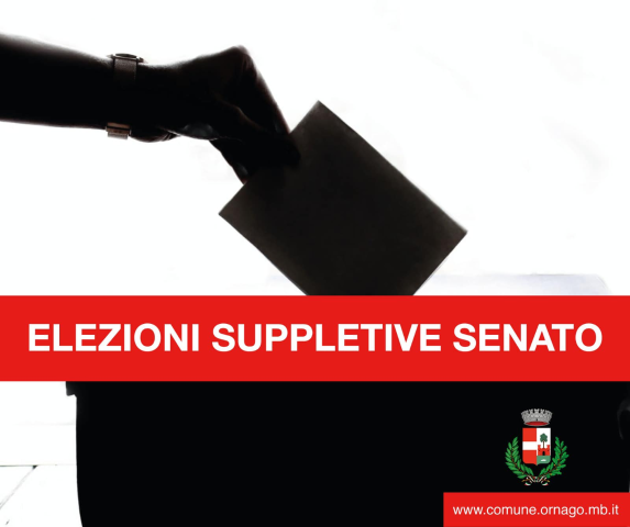 Elezione suppletiva del Senato della Repubblica - Collegio Uninominale n. 6 Regione Lombardia - Dati Affluenza ed Esiti