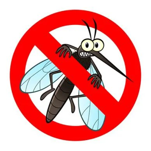 Ordinanza 1/2024: Prevenzione della proliferazione delle zanzare